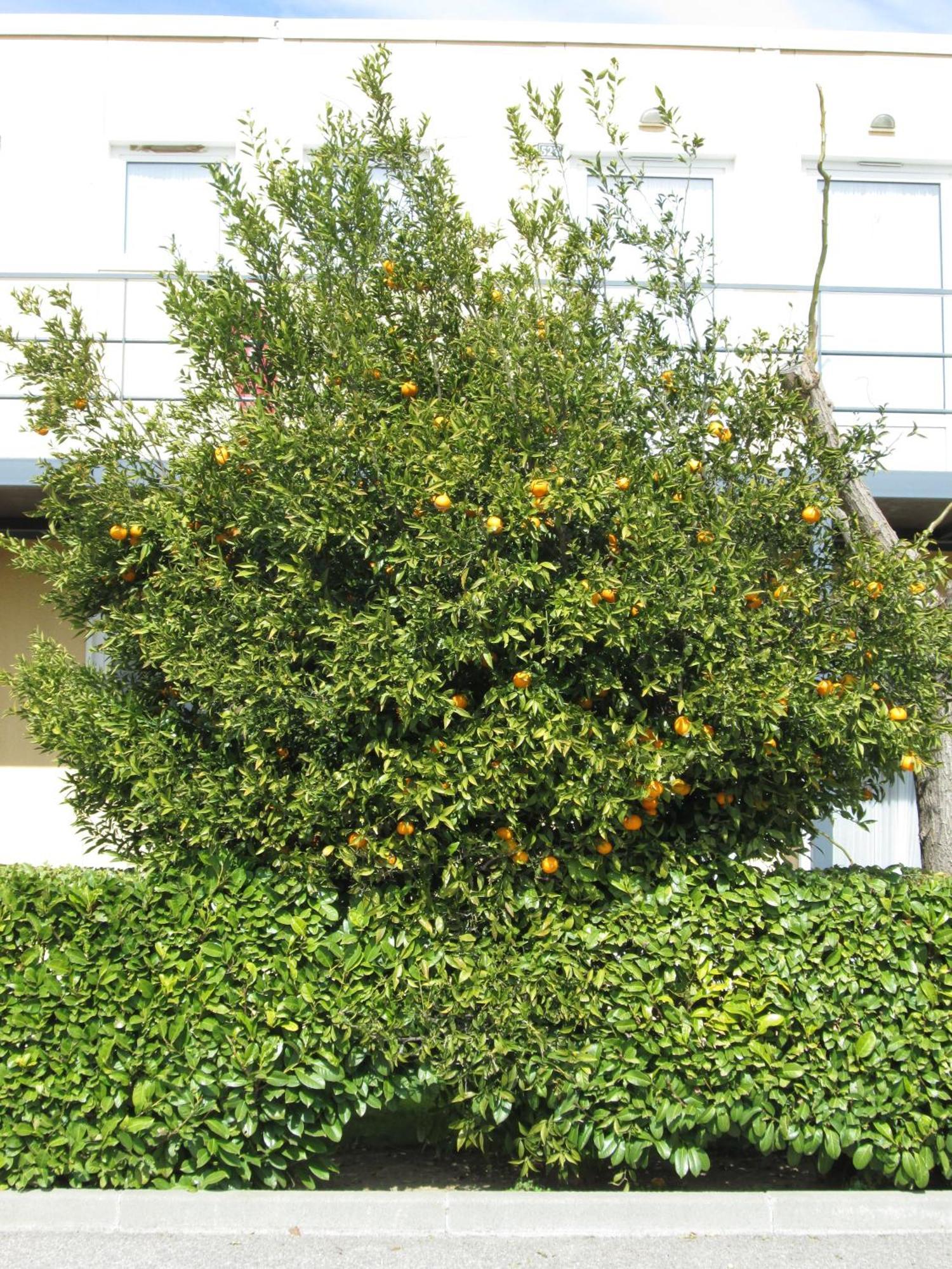 Top Motel Istres Exterior foto